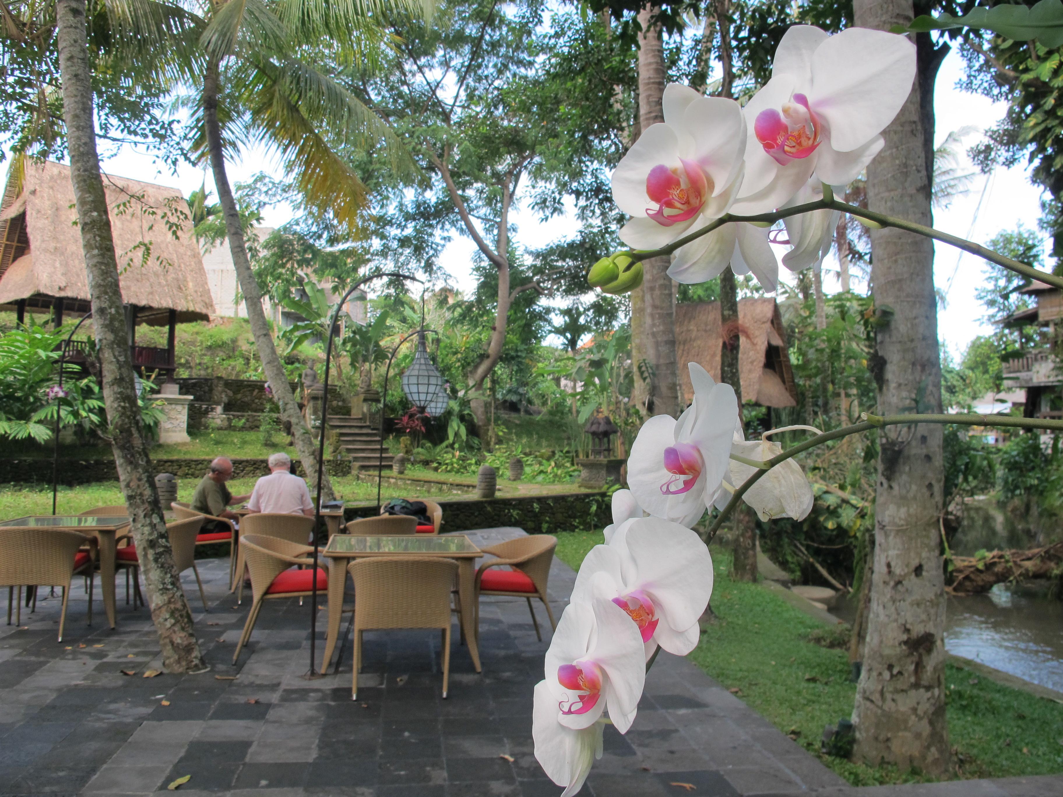 Arma Museum & Resort, Chse Certified Ubud Zewnętrze zdjęcie