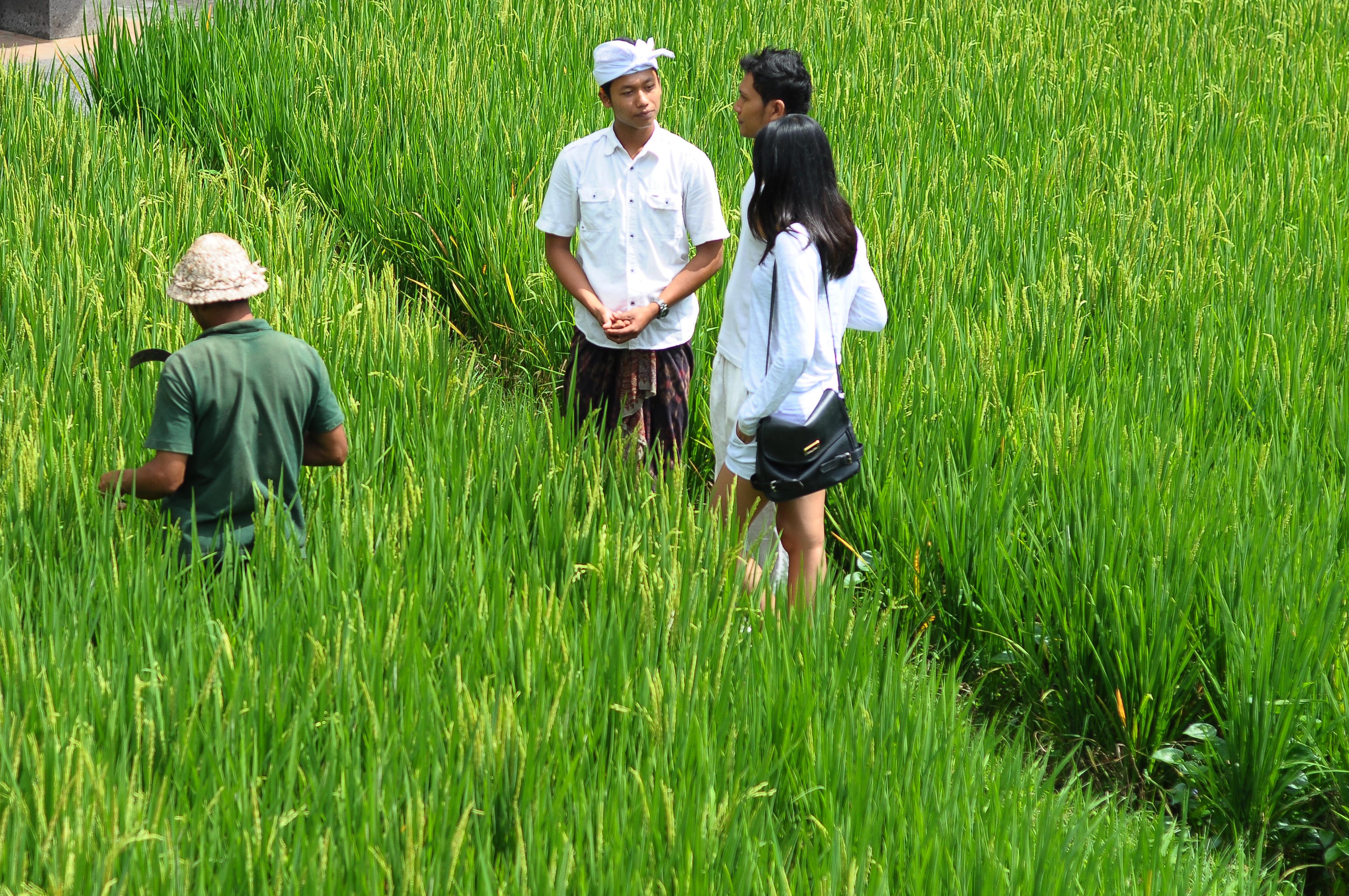 Arma Museum & Resort, Chse Certified Ubud Zewnętrze zdjęcie